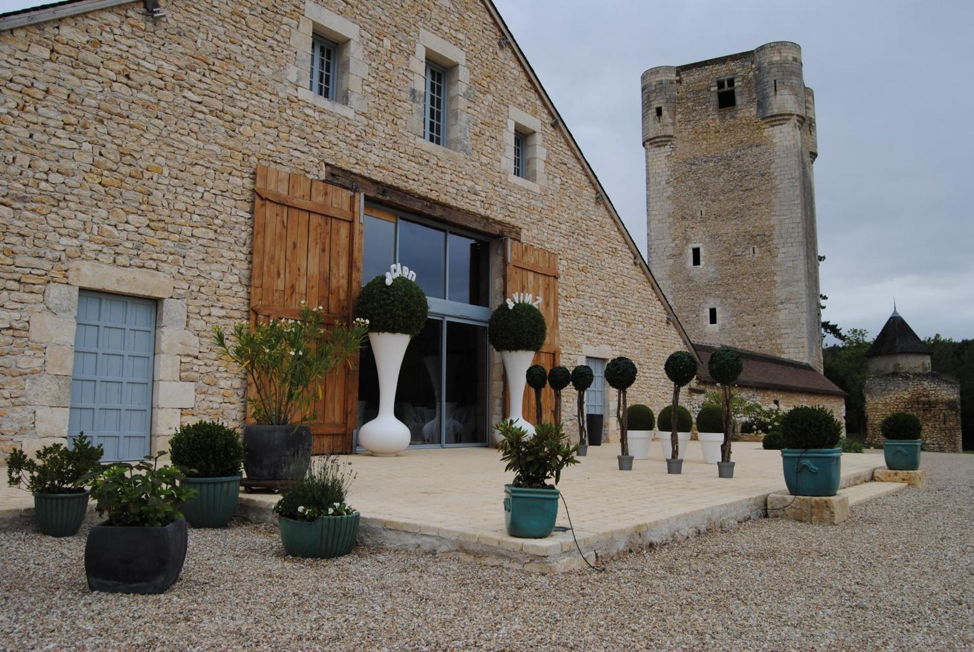 Chateau De Mazieres Tendu Kültér fotó